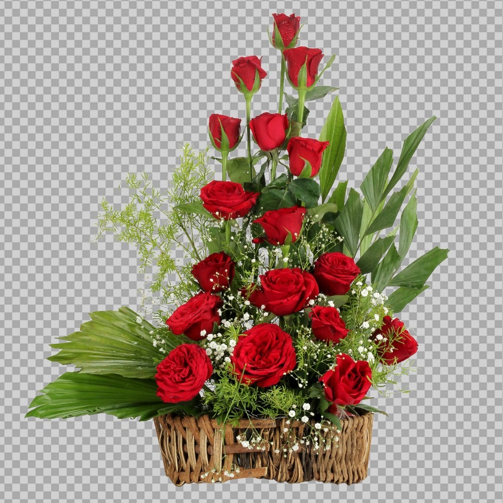 bg Removal(7)